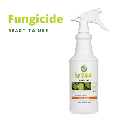 Get Sierra Natural Science SNS 244 Natural Fungal Control Ready to Use online today! This spray controls fungi and mildew