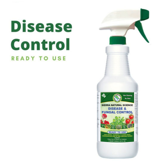Sierra Natural Science SNS DC Fungicide Ready to Use spray can be bought online. This spray provides a barrier and protective preservative shield for plants to heal and protect them against damaging microbes.