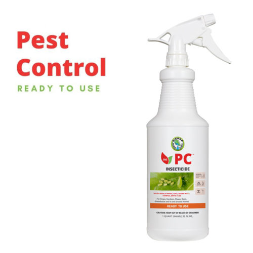 Get this natural insecticide formula online. It's great for your home and your plants.
