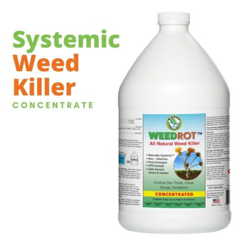 systemic weed killer