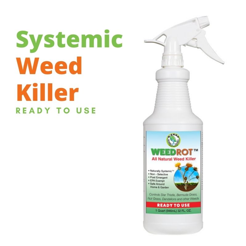 Weed Killer, how long does it take to work?