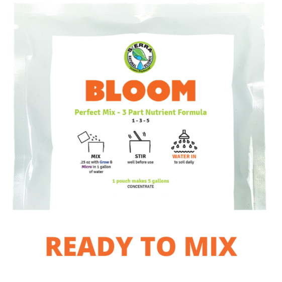 how can u get the bloom mixer｜TikTok Search