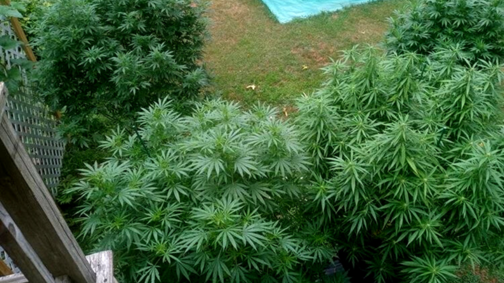 When a Tornado Strikes