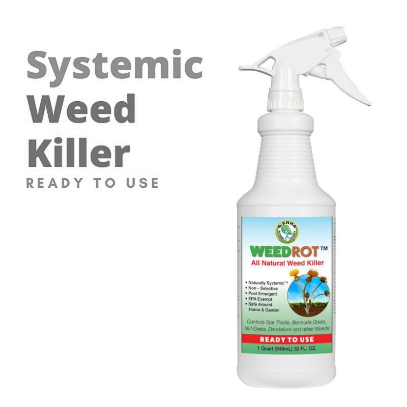 WeedRot ready to use spray bottle weed killer spray, white with details label