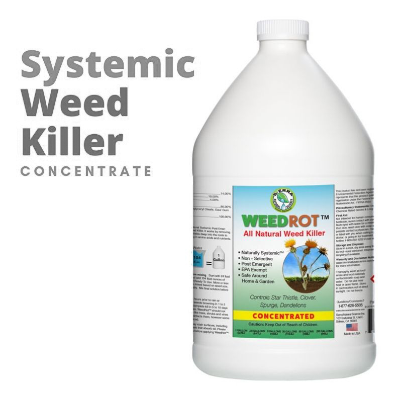 Quantity discount WeedRot concentrate weed killer, one gallon bottle, white with details label