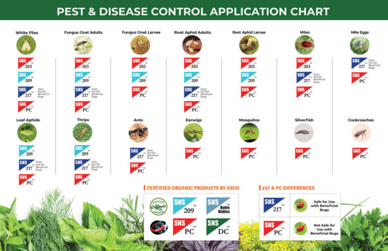 insecticides and pesticides examples